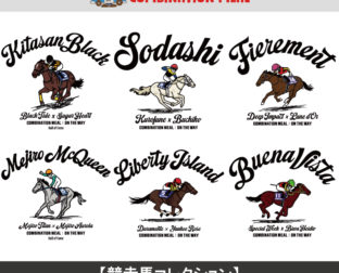コンビネーションミール 競走馬コレクション